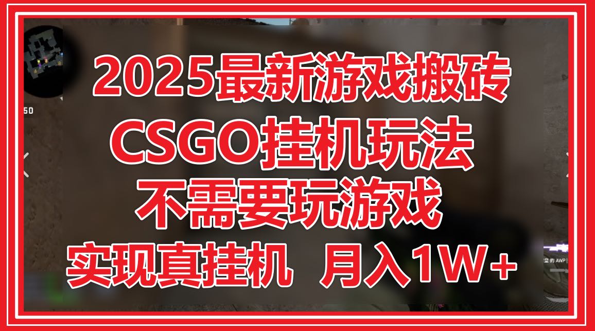 2025最新游戏搬砖，CSGO挂机，不需要玩游戏，实现真挂机，月入1W+-hl998