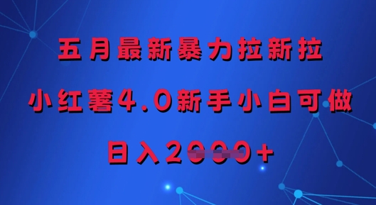 五月最新暴力拉新拉，小红薯4.0新手小白可做，日入多张-hl998