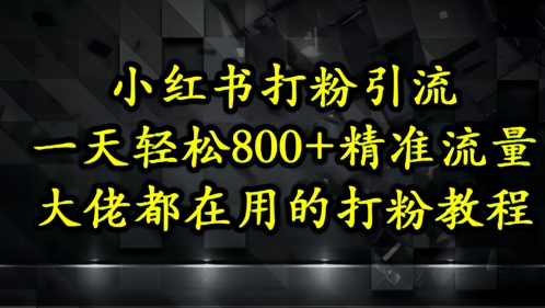 小红书打粉引流，一天轻松500+精准流量，大佬都在用的打粉教程-hl998