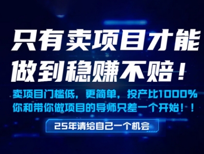 只有卖项目才能做到稳挣不赔，门槛低，更简单，你也可以年入百个W【揭秘】-hl998