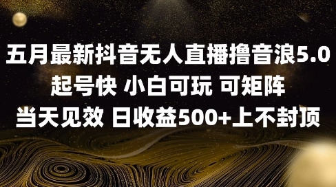 2025五月最新无人直播撸音浪单日产出5张+实操教程【揭秘】-hl998