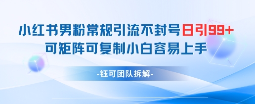 小红书男粉常规引流不封号日引99+变现简单 可矩阵可复制小白容易上手-hl998