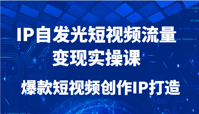 IP自发光短视频流量变现实操课，爆款短视频创作IP打造-hl998