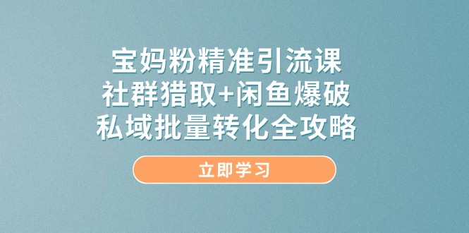 宝妈粉精准引流课，社群猎取+闲鱼爆破，私域批量转化全攻略-hl998