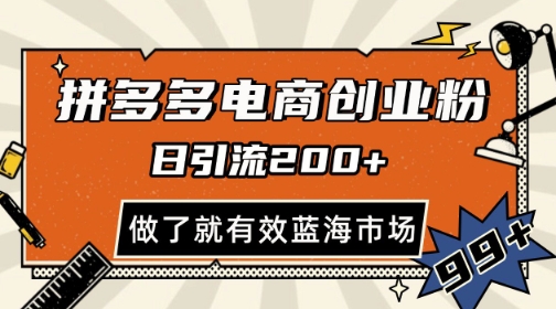 拼多多引流电商创业粉，日引200+，可矩阵放大，做了就有效【揭秘】-hl998