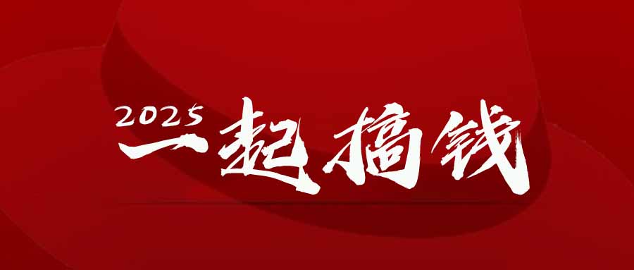 2025年，请“不择手段”去搞钱!-hl998