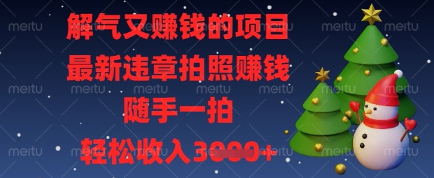 解气又挣钱的项目，最新违章拍照挣钱，随手一拍，轻松收入数张【揭秘】-hl998