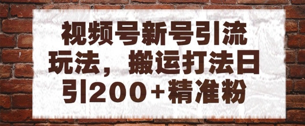 视频号新号引流玩法，搬运打法日引200+精准粉，可矩阵放大【揭秘】-hl998