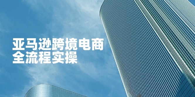 亚马逊跨境电商全流程实操，教你从零开始，掌握店铺运营与广告技巧-hl998