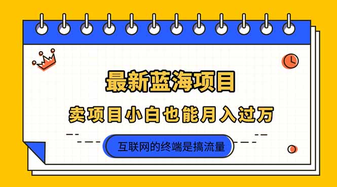 2025年最新蓝海项目，卖项目小白也能月入过万-hl998