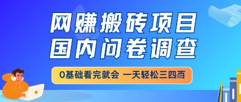 网创搬砖项目，国内问卷调查，小白轻松上手，一天三四张的也不难，干就完了【揭秘】-hl998
