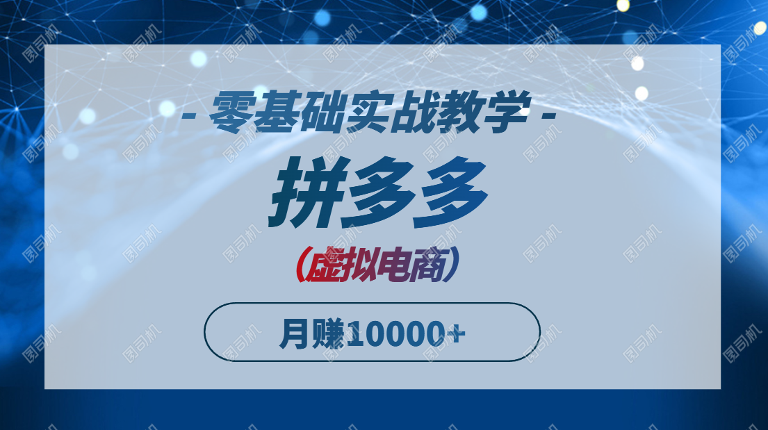 拼多多虚拟电商，零基础实战教学，快速打爆商品，新手也能月入10000+-hl998