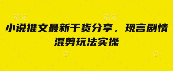 小说推文最新干货分享，现言剧情混剪玩法实操-hl998