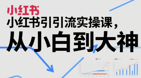 小红书引流实操课，从小白到大神-hl998