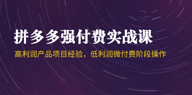 拼多多强付费实战课-44期，高利润产品项目经验，低利润微付费阶段操作-hl998