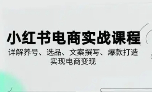 小红书从0-1实操课(2023-2025)，详解养号、选品、文案撰写、爆款打造实现电商变现-hl998