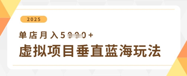 虚拟项目垂直玩法，实现单店月入5k+-hl998