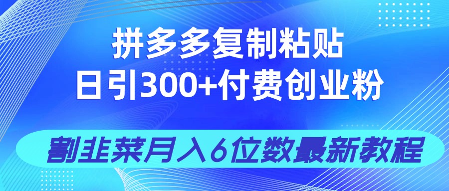 拼多多复制粘贴日引300+付费创业粉，割韭菜月入6位数最新教程！-hl998