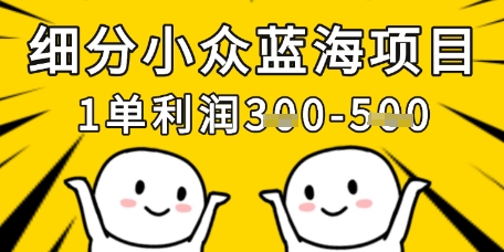 细分小众蓝海项目，一单利润3张，每月收入稳定过1w+-hl998