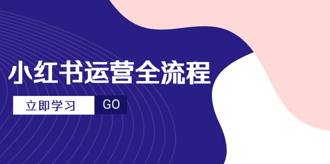 小红书运营全流程，爆款选题文案，视频制作技巧，进阶达人宝典-hl998