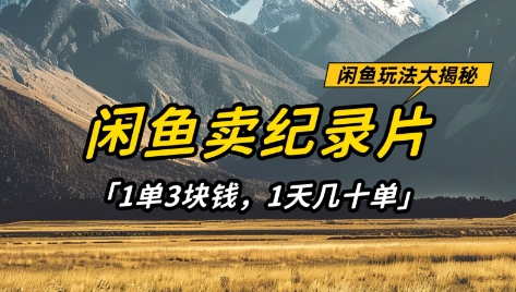 闲鱼卖纪录片1单3块钱，1天几十单，项目稳定有潜力-hl998