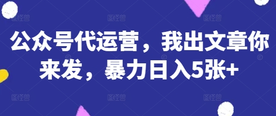 公众号代运营，我出文章你来发，暴力日入5张+【揭秘】-hl998