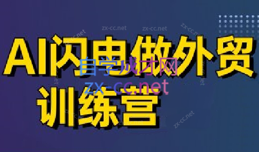 大卫·AI闪电做外贸训练营(更新5月)-hl998