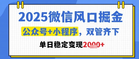 2025微信风口掘金，公众号+小程序双管齐下，单日稳定变现1k+【揭秘】-hl998