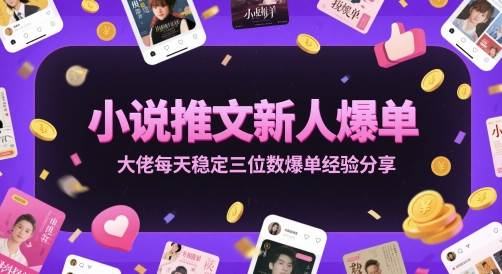 小说推文新人爆单大佬每天稳定三位数爆单经验分享-hl998
