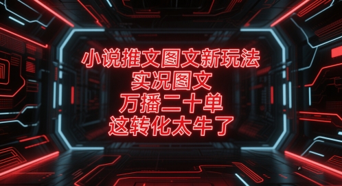 小说推文图文新玩法，实况图文，万播二十单，这转化太牛了！-hl998