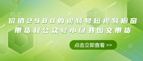 价值2980的视频号短视频橱窗带货和公众号小绿书图文带货-hl998