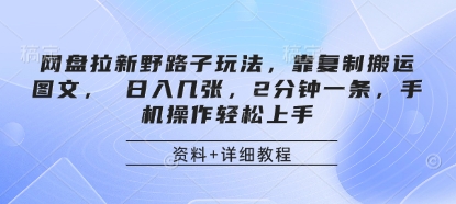 网盘拉新野路子玩法，靠复制搬运图文， 日入几张，2分钟一条，手机操作轻松上手-hl998