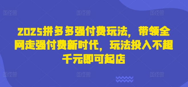 2025拼多多强付费玩法，带领全网走强付费新时代，玩法投入不超千元即可起店-hl998