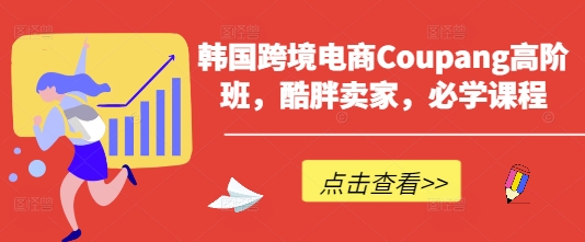 韩国跨境电商Coupang高阶班，酷胖卖家，必学课程-hl998