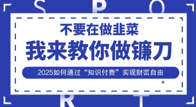韭菜生涯终结者，我来教你做镰刀，2025如何通过“知识付费”实现财F自由【揭秘】-hl998