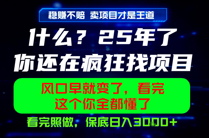 26年，请不要疯狂的找项目做了！卖项目才是真的稳賺不赔，看完照做，保底日入1k+【揭秘】-hl998