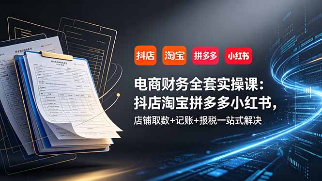 电商财务全套实操课：抖店淘宝拼多多小红书，店铺取数+记账+报税一站式解决-hl998