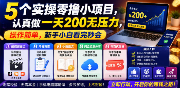 5个实操零撸小项目，认真做一天200无压力，操作简单，新手小白看完秒会【揭秘】-hl998