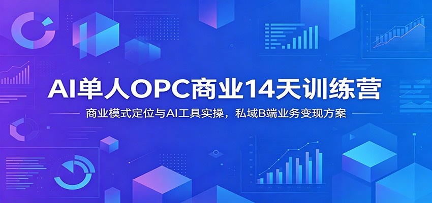 AI单人OPC商业14天训练营：商业模式定位与AI工具实操，私域B端业务变现方案-hl998