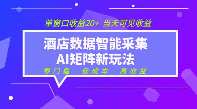 2026酒店数据采集ai智能矩阵新风口  低成本   高收益   当天见收益   单窗口20+-hl998