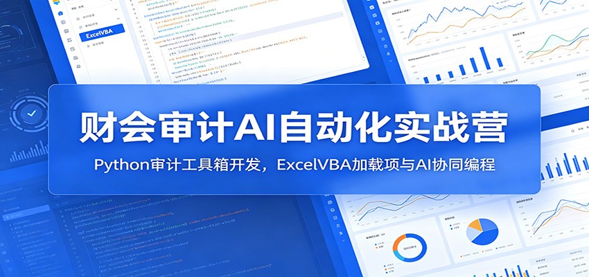 财会审计AI自动化实战营：Python审计工具箱开发，ExcelVBA加载项与AI协同编程-hl998