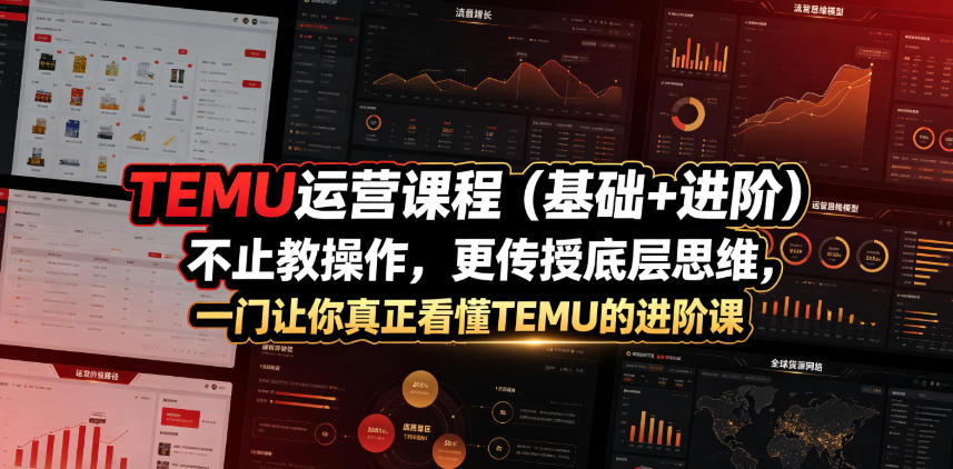 TEMU运营课程(基础+进阶)，不止教操作，更传授底层思维，一门让你真正看懂TEMU的进阶课-hl998