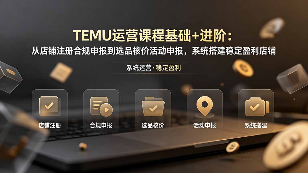 TEMU运营课程(基础+进阶-hl998