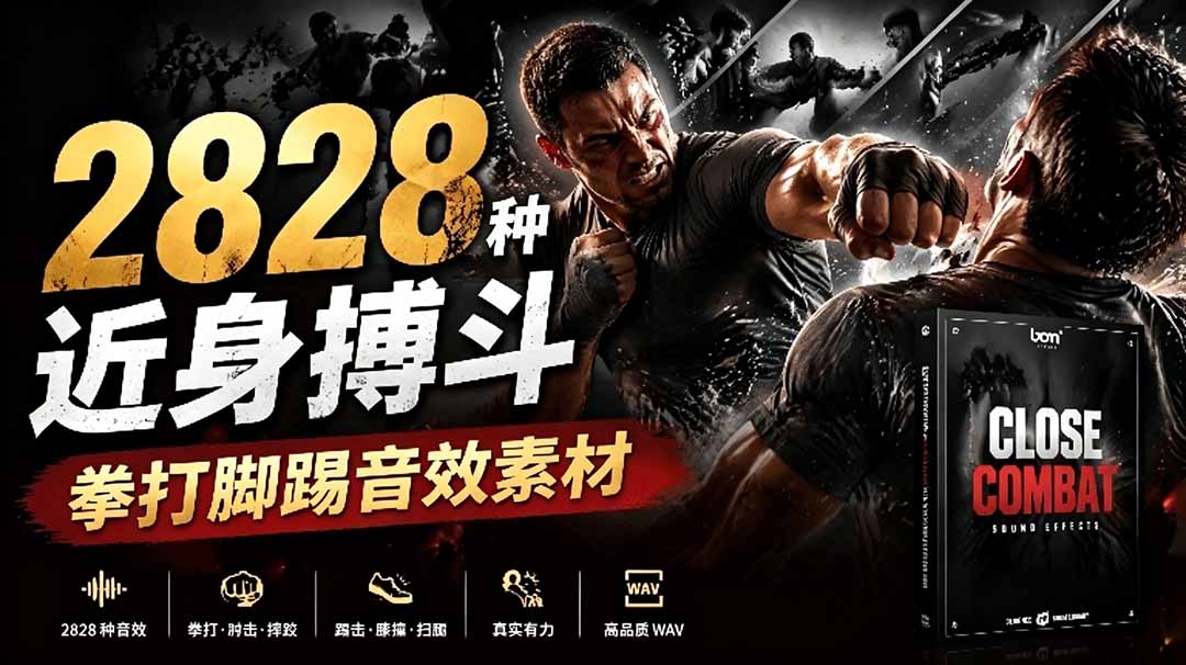 宝藏级别音效！2828种近身搏斗拳打脚踢音效素材，全部中文分类，免解压使用  Close Combat-hl998