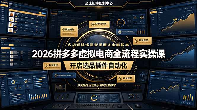 2026拼多多虚拟电商全流程实操课，开店选品插件自动化，多店矩阵运营新手避坑全套教学-hl998
