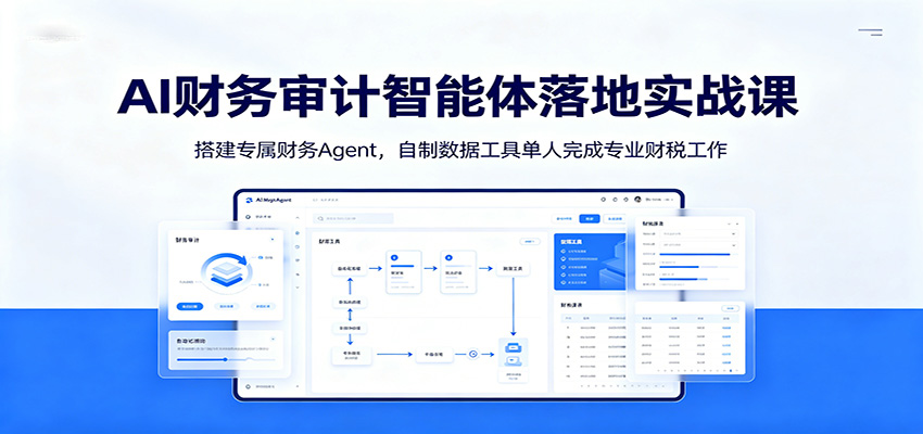 AI财务审计智能体落地实战课：搭建专属财务Agent，自制数据工具单人完成专业财税工作-hl998