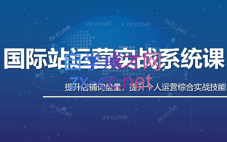 白老师·国际站运营实战系统(高质量询盘增长课)(更新)-hl998