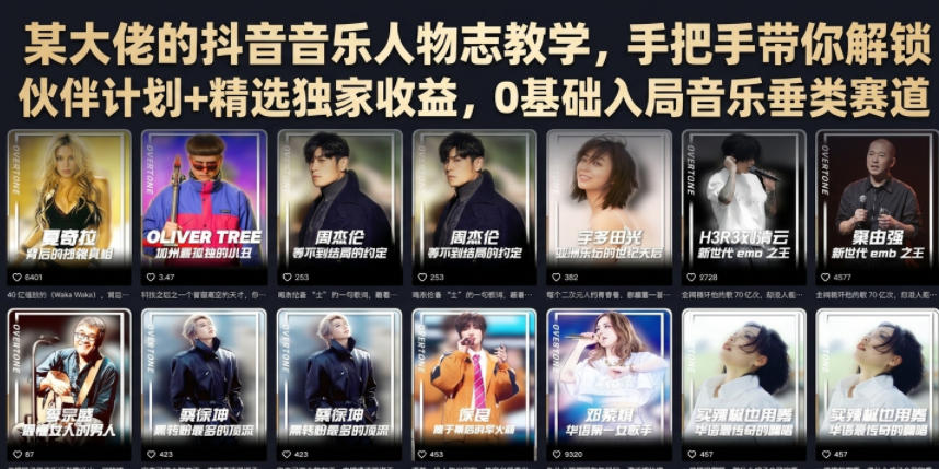 某大佬的抖音音乐人物志教学，手把手带你解锁伙伴计划+精选独家收益，0基础入局音乐垂类赛道-hl998