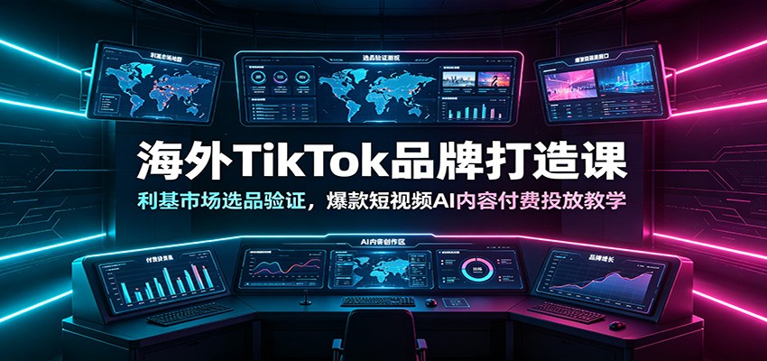 海外TikTok品牌打造课：利基市场选品验证，爆款短视频AI内容付费投放教学-hl998