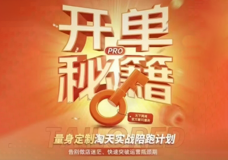 天下网商·淘宝天猫陪跑计划(更新7月)-hl998